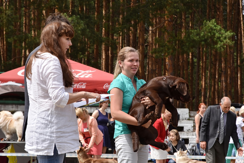 Анна Терешина